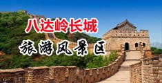 污网站美女小逼中国北京-八达岭长城旅游风景区